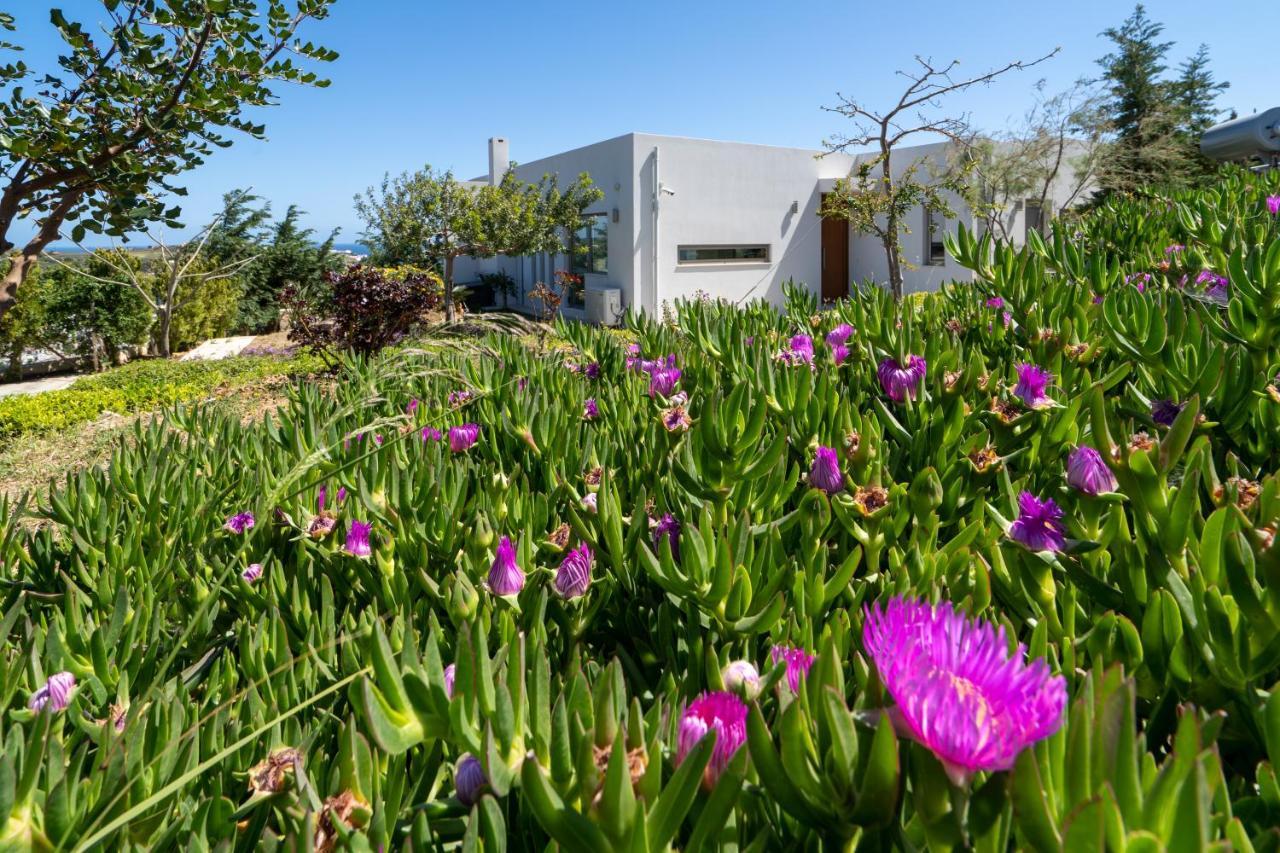 Sea View Villas Agia Pelagia Екстериор снимка